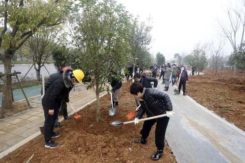 常绿干部爆料视频,揭秘权力背后的真相